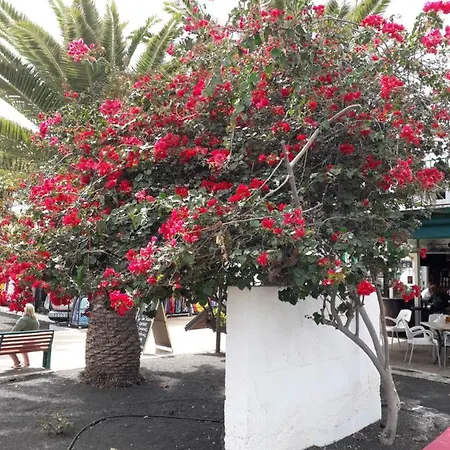 Appartamento Sunny Self-catering Costa Teguise, Lanzarote, Spain